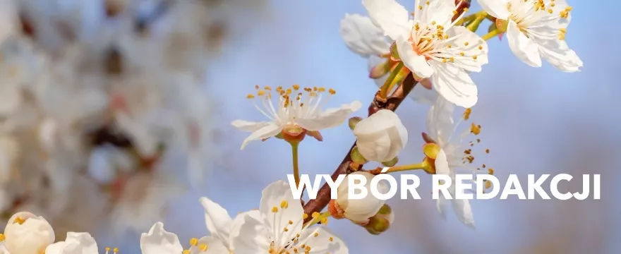 Wybór redakcji: w marcu zadbaj o siebie i bliskich