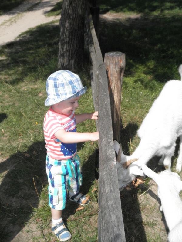 Uwielbiam zwierzątka-Skansen Sierpc 