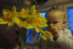 Wąchamy, sprawdzamy, dotykamy :) - pierwszy kontakt z kwiatami 10 miesięcznego Maksa