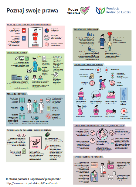 infografika2.png