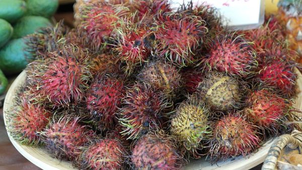 rambutan-383401_640.jpg