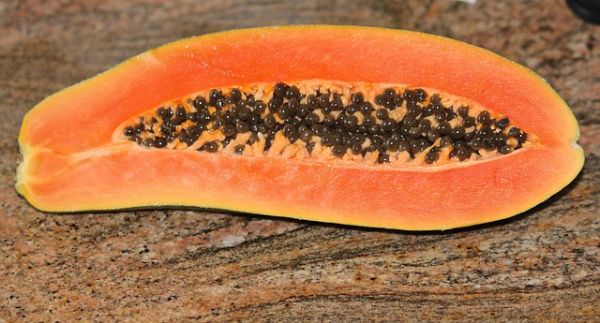 papaya-74585_640.jpg