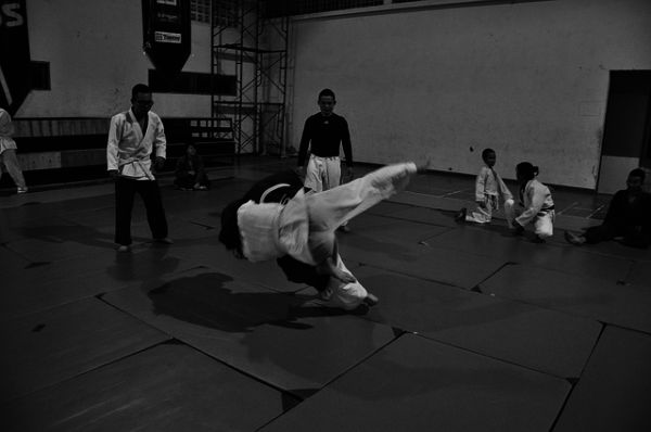 judo-333779_640.jpg